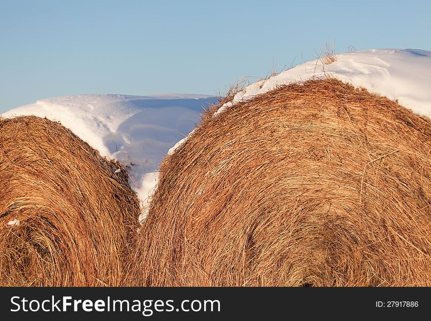 Snow-covered hay bales