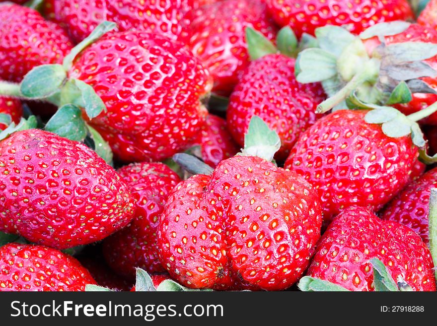 Image Closeup of fresh strawberry