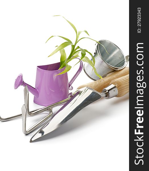 Purple Watering Can with Green Plant, Tin Bucket and Gardening Tools isolated on white background