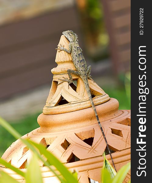 Brown lizard on Thai style pottery in garden. Brown lizard on Thai style pottery in garden