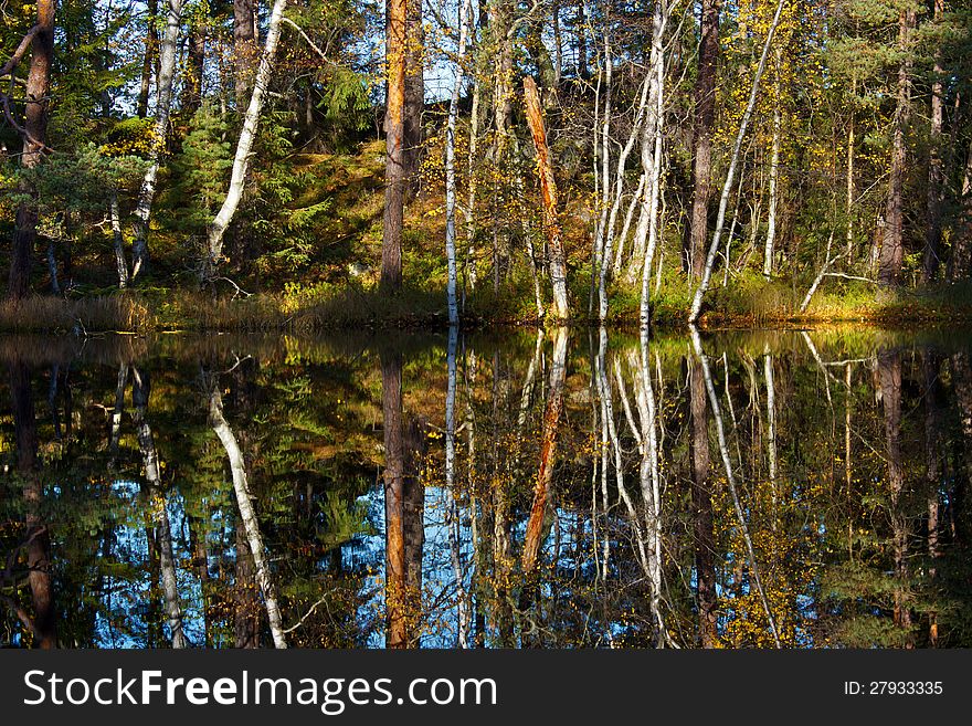 Forest lake reflections in autumn day, in Laajasalo, Finland