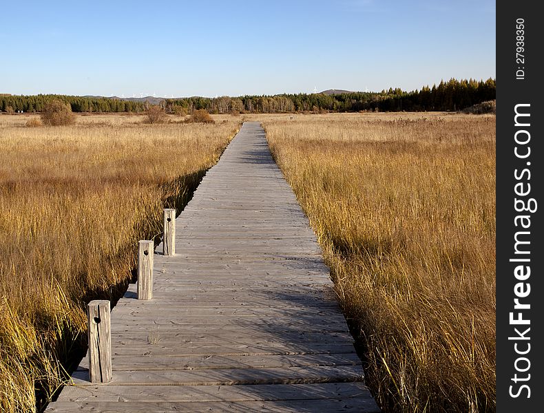 Blue sky wooden bridge in the wetland prairie. Blue sky wooden bridge in the wetland prairie