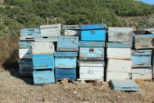 Bee Box Stock Images Bee Box Stock Images