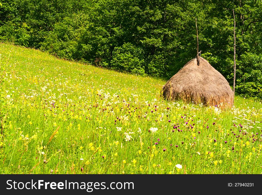 Beautiful countryside landscape with flowers, grass and haystack