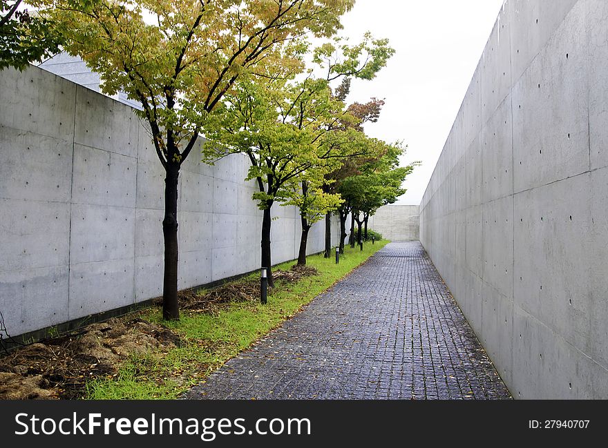 Path with cherry-blossom trees at osaka prefectural sayamaike museum, osaka, japan