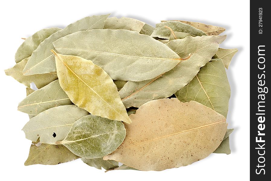 Heap bay leaves on a white background