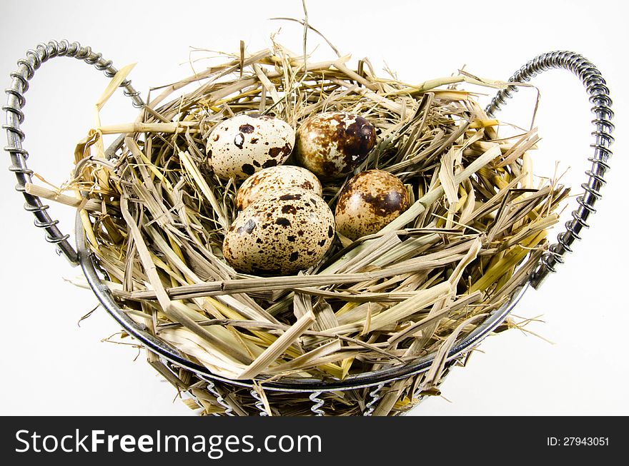 Bird nest with quail eggs in basket on white background