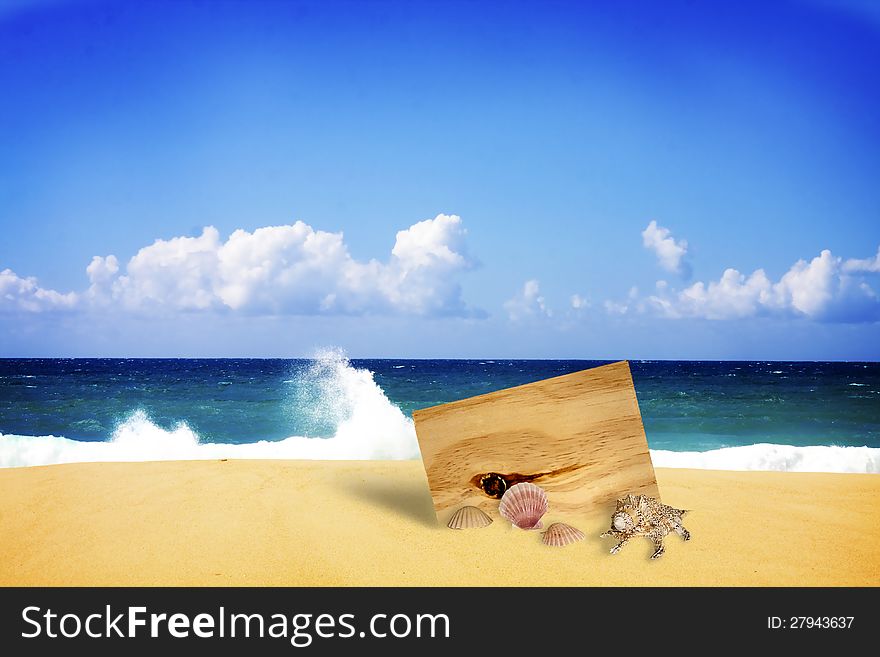 Wooden board buried in beach sand with shells