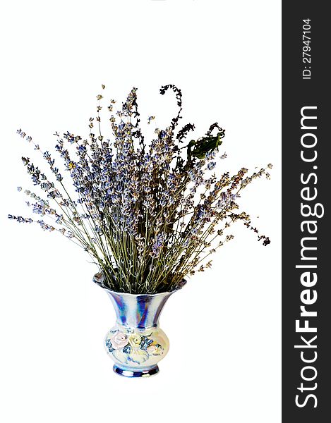 Field flower lavender in vase