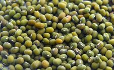 Green Bean Royalty Free Stock Image Green Bean Royalty Free Stock Image