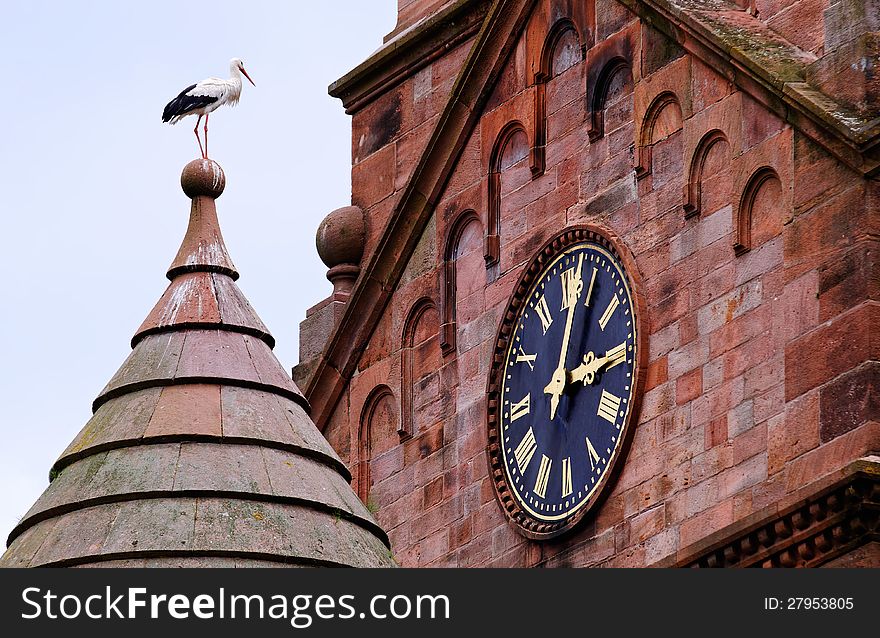 A stork landed on church roof watching the clock