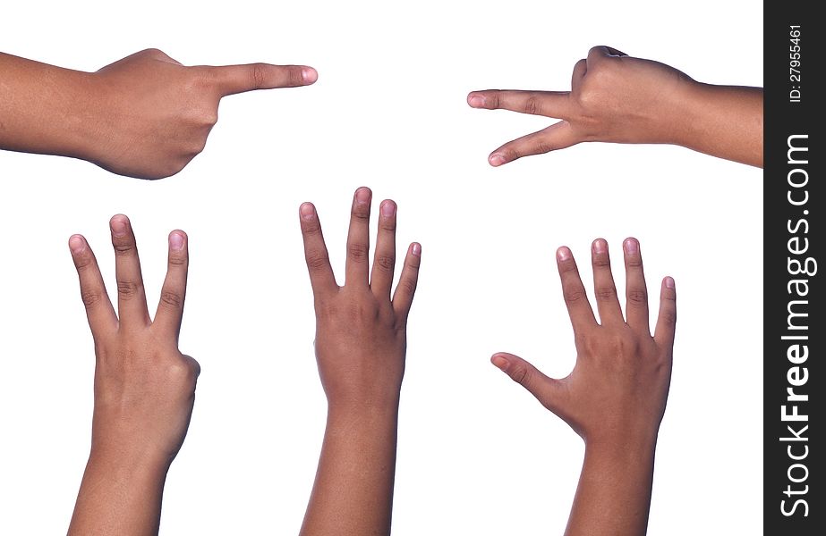 Counting hands from one to five, isolated on white background