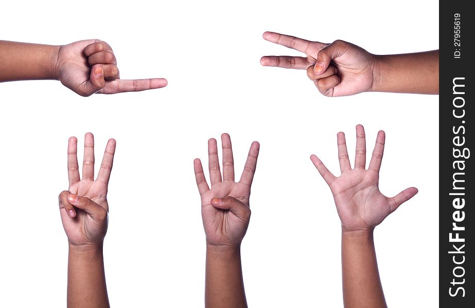 Counting hands, from one to five, isolated on white background, no shadow