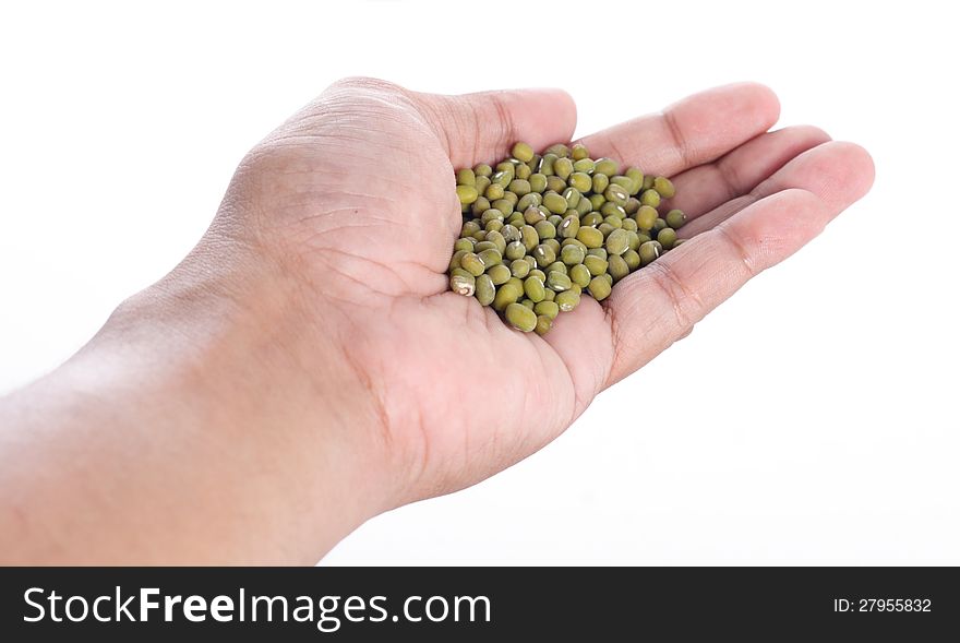 Green bean on left hand, on white background