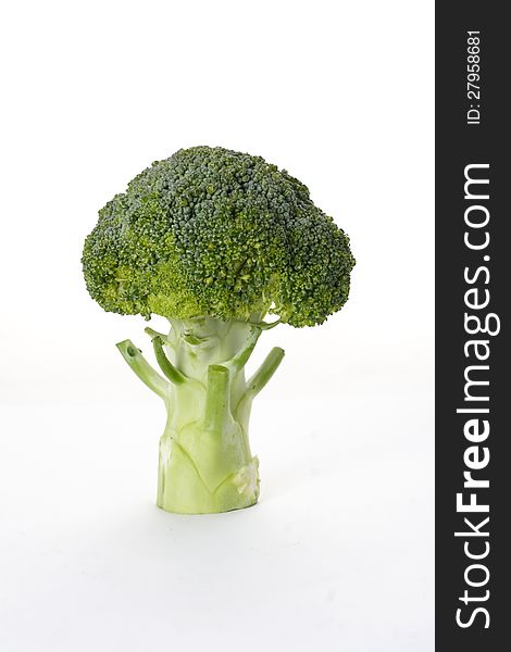 Standing one brocoli on white backgroundrn
