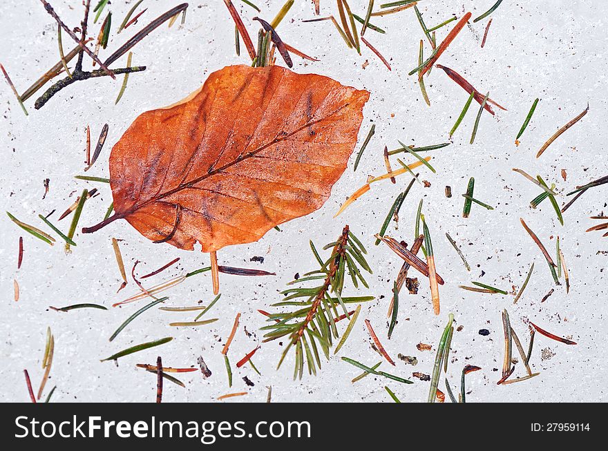 Autumn orange leaf on the ice. Autumn orange leaf on the ice