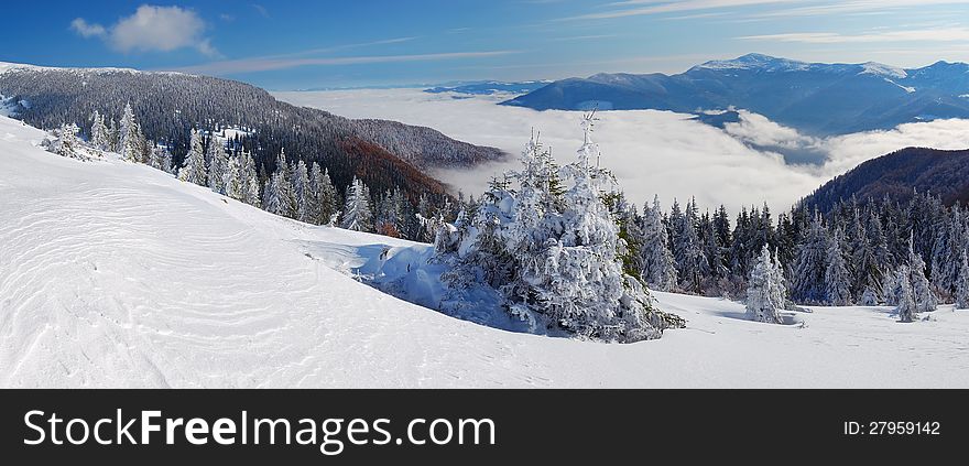 Winter landscape with a fog. Ukraine, Carpathians mountains