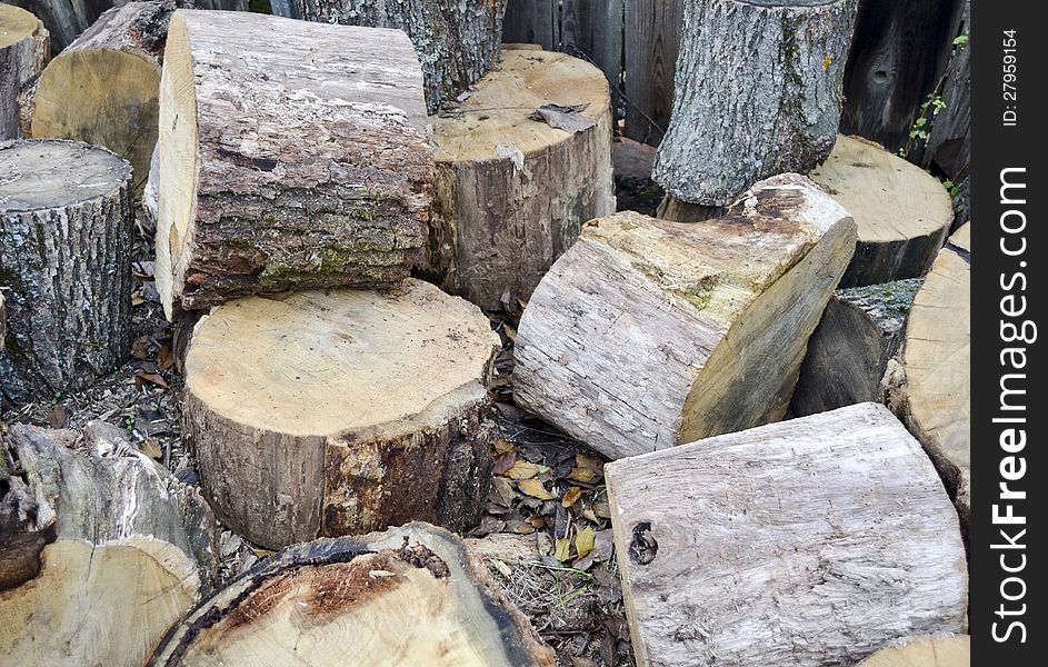 The photo shows several stumps trees for firewood.