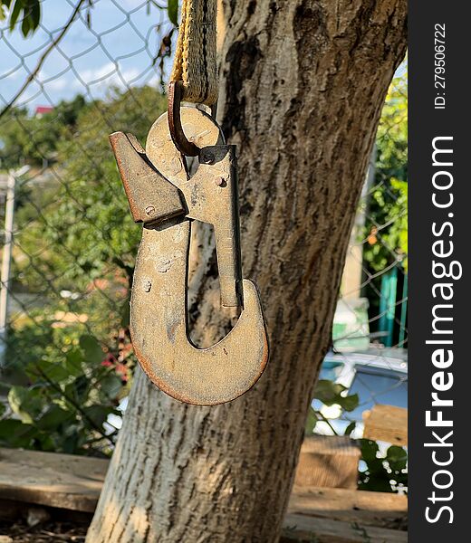 An Old Slightly Rusted Hook Is Hanging On A Tree. Green Yard. There Is A Hook Hanging On The Sling. The Crowns Of Trees In Bokeh.