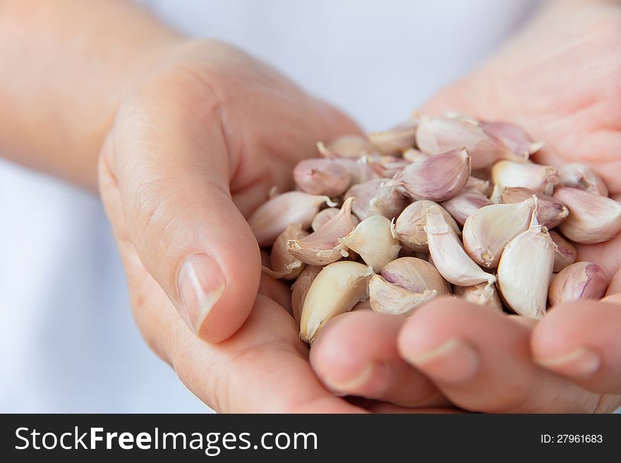 Close up image of hand hold garlic