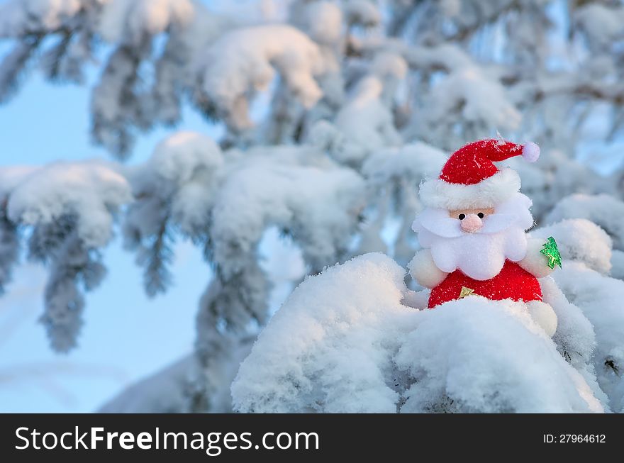 Santa Claus sits on a snow-covered Christmas tree branch. Santa Claus sits on a snow-covered Christmas tree branch.