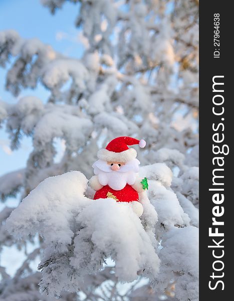 Santa Claus sits on a snow-covered Christmas tree branch. Santa Claus sits on a snow-covered Christmas tree branch.