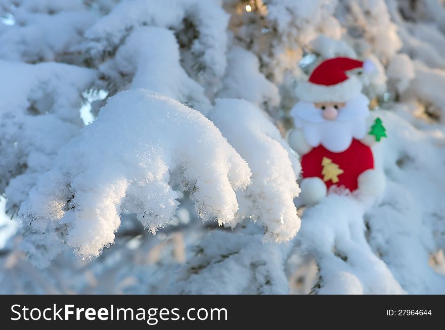 Santa Claus sits on a snow-covered Christmas tree branch. Santa Claus sits on a snow-covered Christmas tree branch.