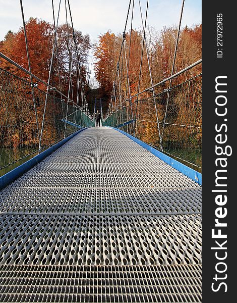 The big suspension bridge by the autumnal wood