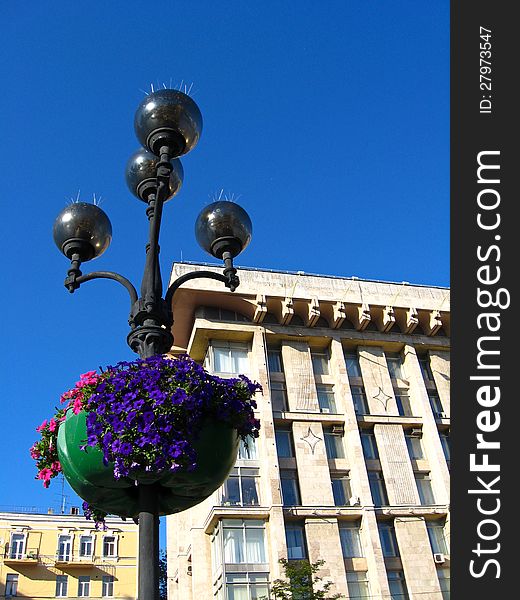 The image of plant on the lantern in the city. The image of plant on the lantern in the city