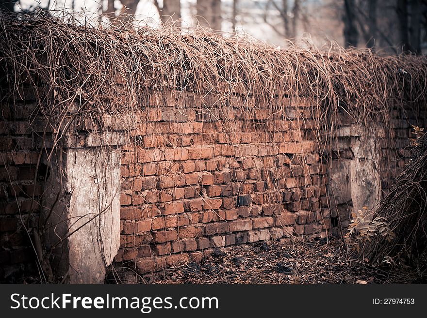 Old brick fence at fall season uptown. Old brick fence at fall season uptown