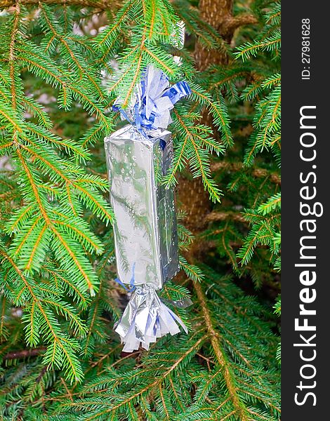 Christmas surprise gift in a silver wrapping among pine branches. Christmas surprise gift in a silver wrapping among pine branches