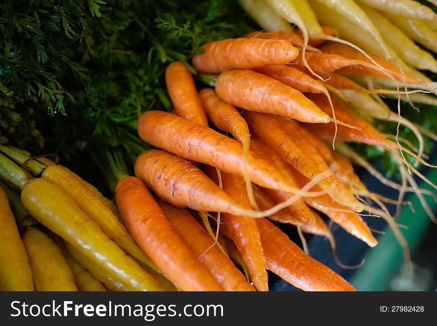 Fresh regular orange carrots bunched with white carrots. Fresh regular orange carrots bunched with white carrots.