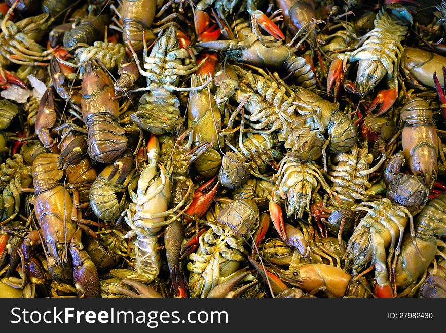 Fresh caught lobsters, shrimp and crawfish. Fresh caught lobsters, shrimp and crawfish.