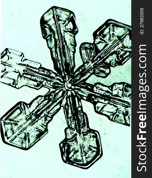 A real snowflake in great detail. A real snowflake in great detail.