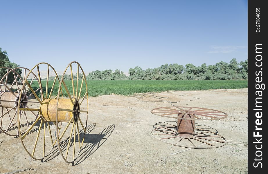 Field of spring onion and agriculture facilities