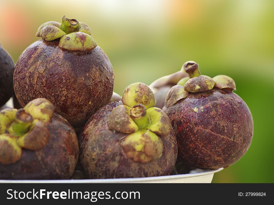 Mangosteen, Tropical fruit in Thailand