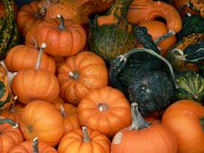 Jack-O-Lanterns Waiting To Happen Royalty Free Stock Photography Jack-O-Lanterns Waiting To Happen Royalty Free Stock Photography