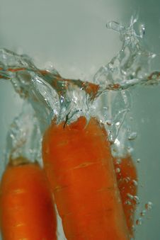 Fresh Carrots Royalty Free Stock Image Fresh Carrots Royalty Free Stock Image