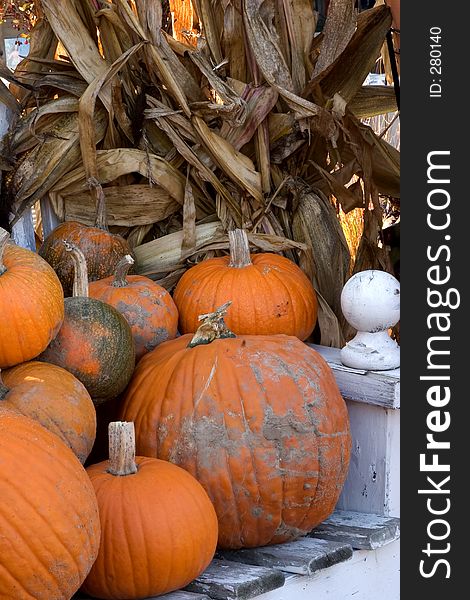 Pumpkins and corn stalks. Pumpkins and corn stalks