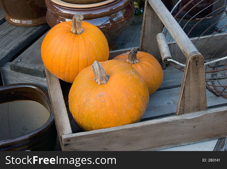 Autumn display with pumpkins. Autumn display with pumpkins