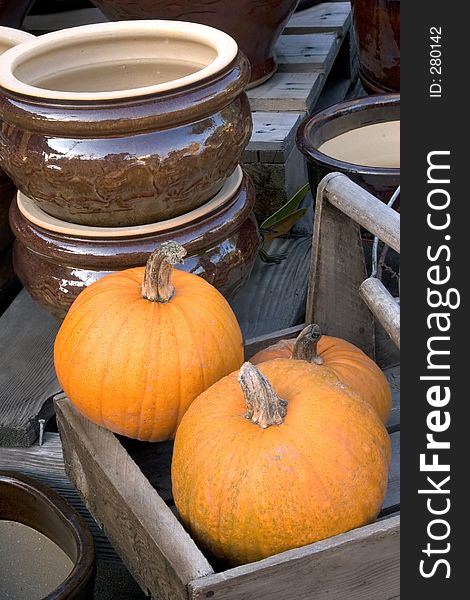 Pumpkin Display With Ceramic Bowl