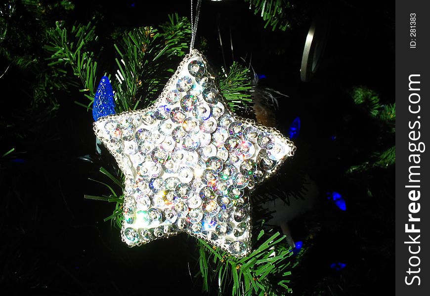 Lone Ornament Star