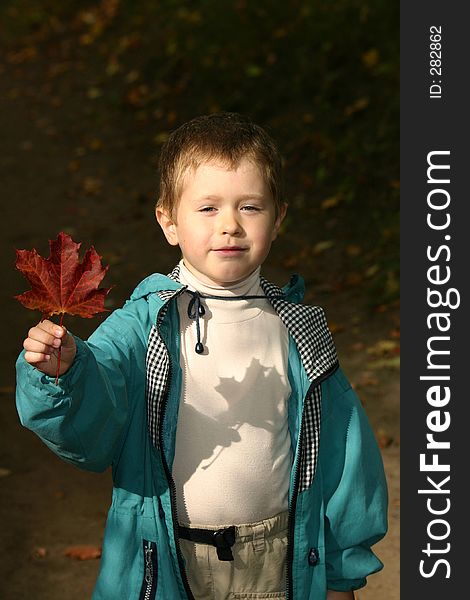 Boy showing a maple leaf. Boy showing a maple leaf.
