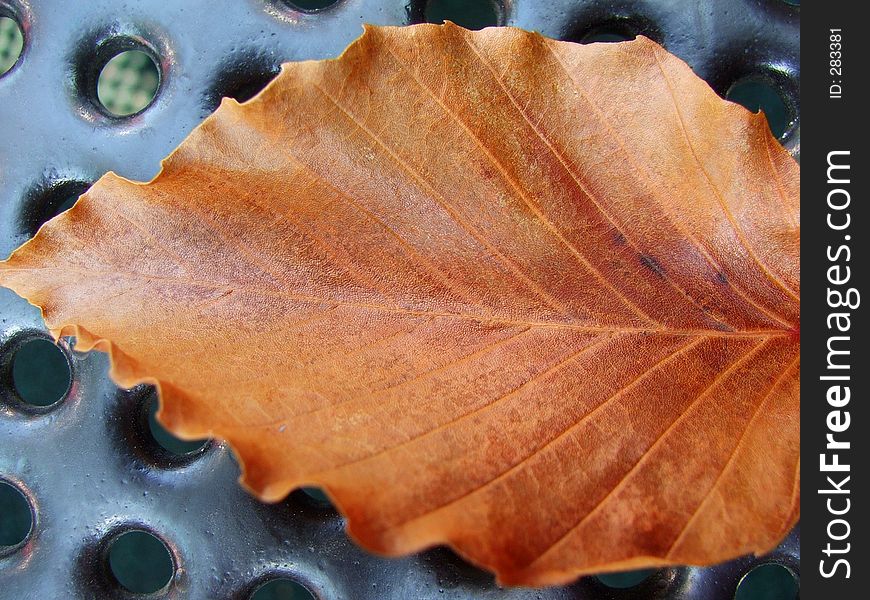 Leaf on playground equipment. Leaf on playground equipment