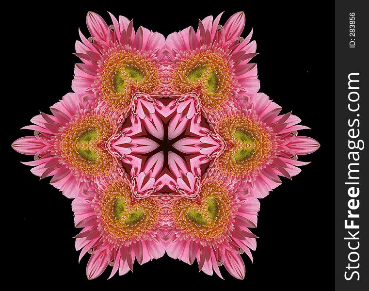 Pink flower mandala