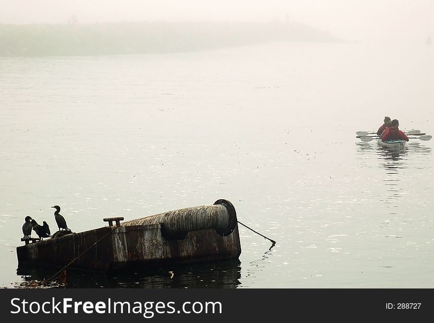 Some sea kayakers departing Santa Cruz, California harbor on a foggy morning. Some sea kayakers departing Santa Cruz, California harbor on a foggy morning.