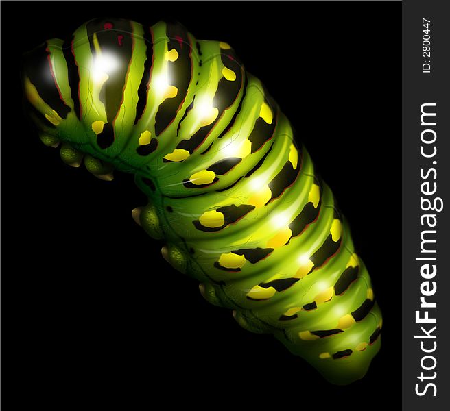 An illustration of a caterpillar, created entirely in Adobe Photoshop, using paths, fills, blend and of course the airbrush tool. An illustration of a caterpillar, created entirely in Adobe Photoshop, using paths, fills, blend and of course the airbrush tool.