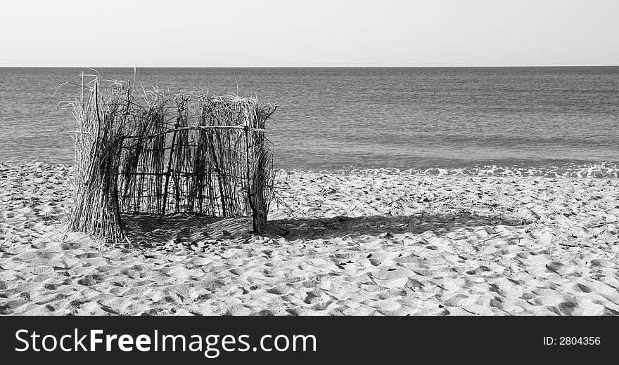Cane on the  seashore, black and white version