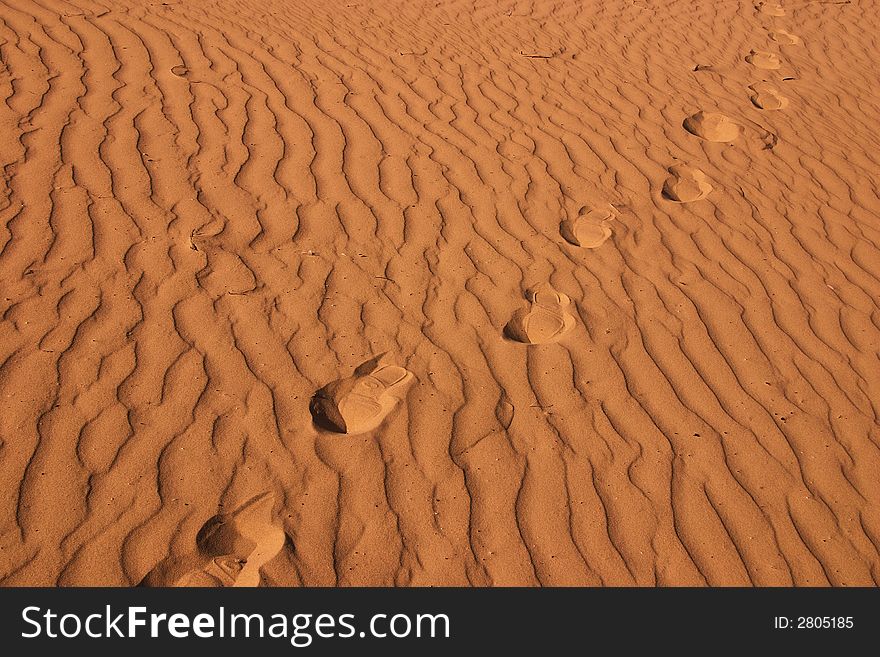 Israel , dune , spring, sand , 2006. Israel , dune , spring, sand , 2006