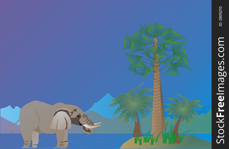 Palms And Elephant